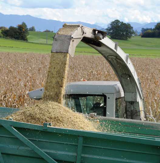 Agrosimex