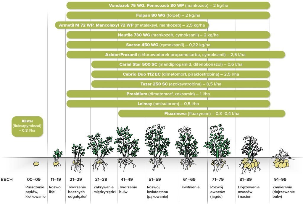 Agrosimex